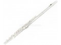 Silver/Nickel-Plated C Key Closed Hole Cupronickel Flute for Beginners, 16 Holes, with Split E Mechanism