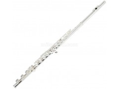 Professional C Key Closed Hole Cupronickel Flute, Silver/Nickel-Plated, 17 Holes, with Split E Mechanism